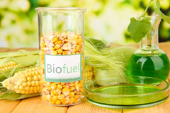 Putton biofuel availability